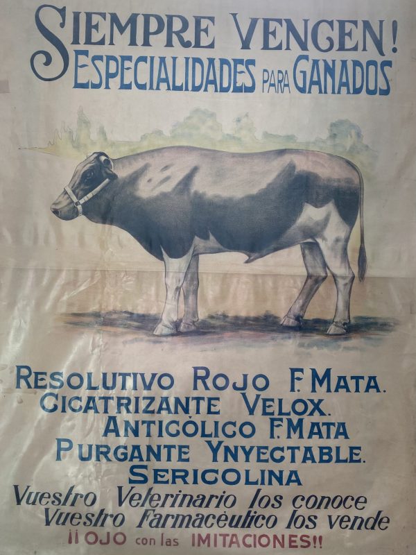 siempre vencen especialidades para ganados